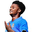 데마라이 그레이