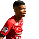 21 PL 헤이닐두
