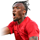 태미 에이브러햄