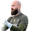 V. 밀린코비치-사비치