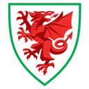 2021 웨일스 로고