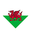 2022 웨일스 로고