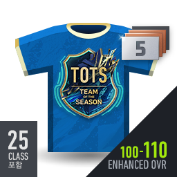 [22TOTS 1강 포함] 최종 OVR 100~110 스페셜팩 (3~5강)